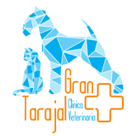 Veterinario Gran Tarajal