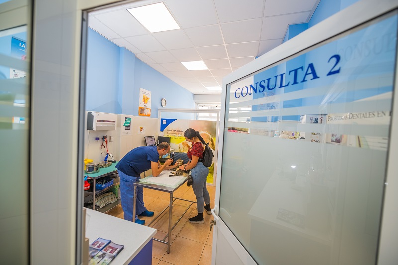 Clinica Veterinaria Gran Tarajal